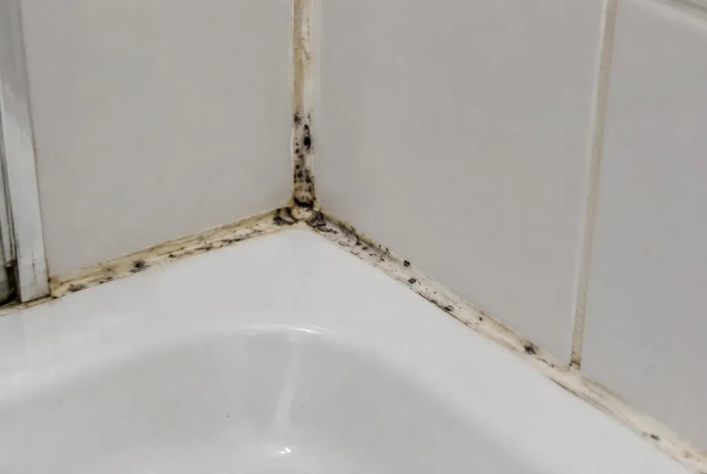Kitbedrijf Leidschendam – beschimmelde kitranden
